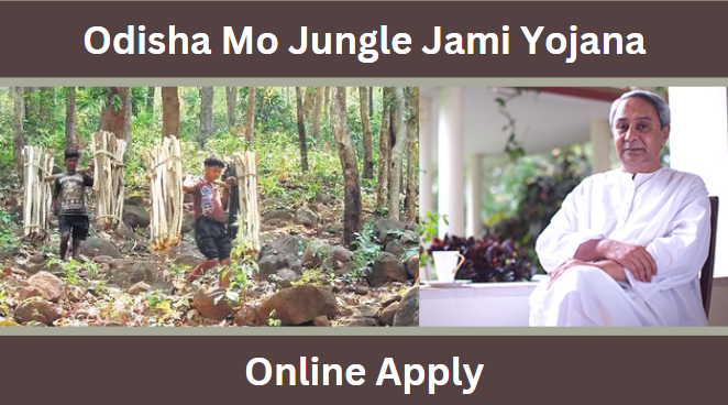 Odisha Mo Jungle Jami Yojana